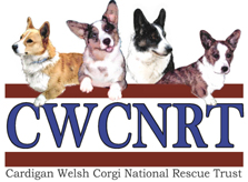 CWCNRT-logo-email