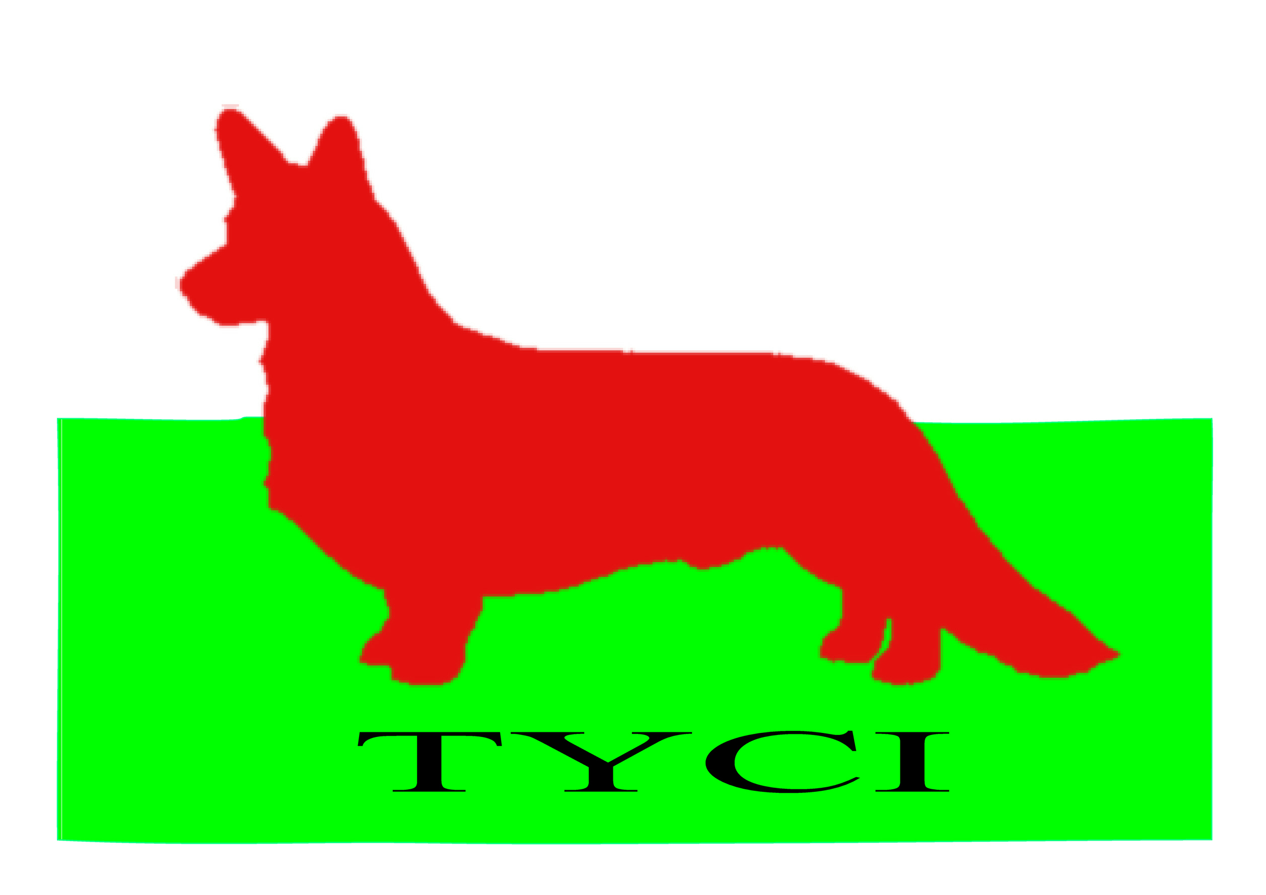tyciflag-2